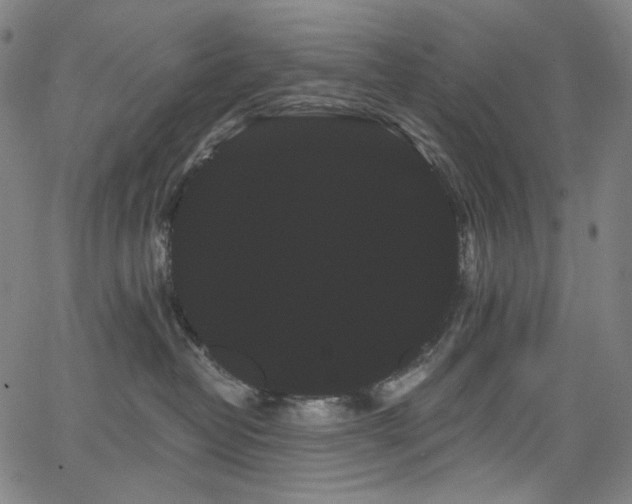 X0000066120382200603101241