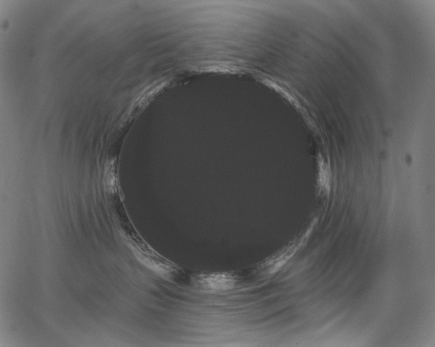 X0000066120383200603101241