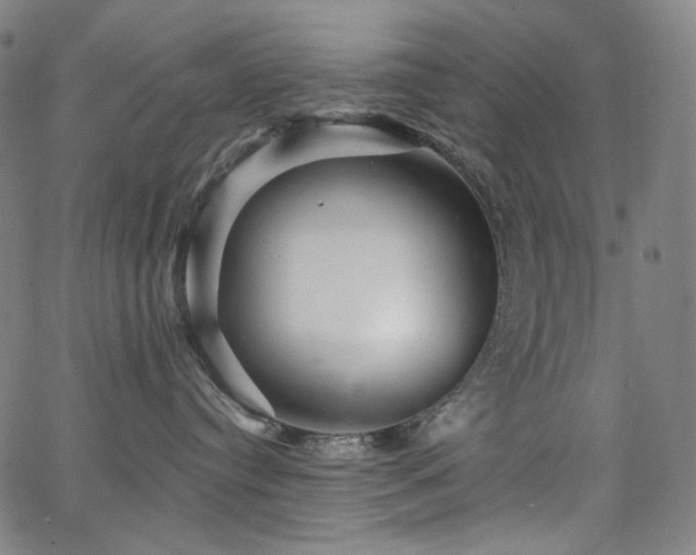 X0000066120384200603101241