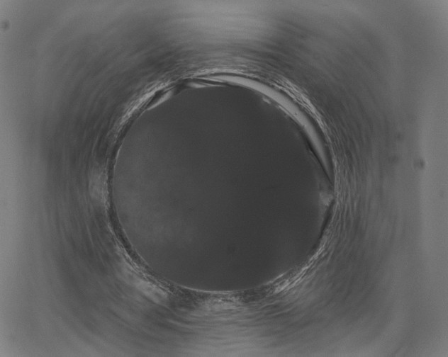 X0000066120386200603101241