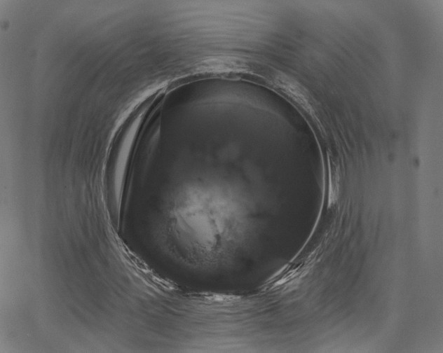 X0000066120387200603101241