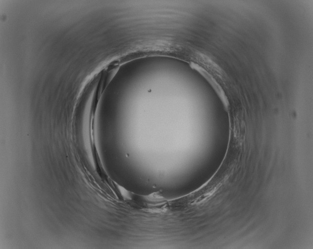 X0000066120388200603101241