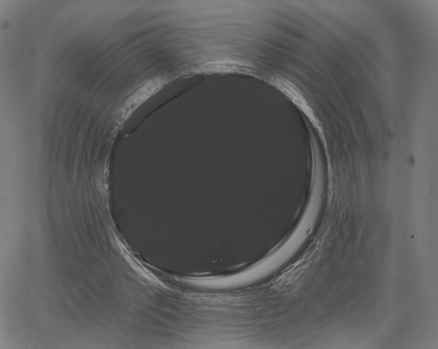 X0000066120389200603101241