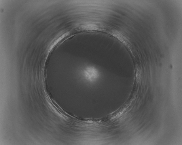 X0000066120390200603101241