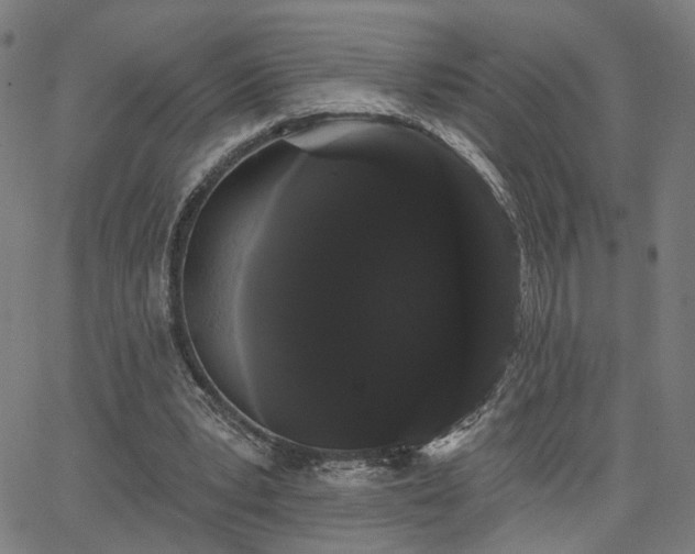 X0000066120391200603101241