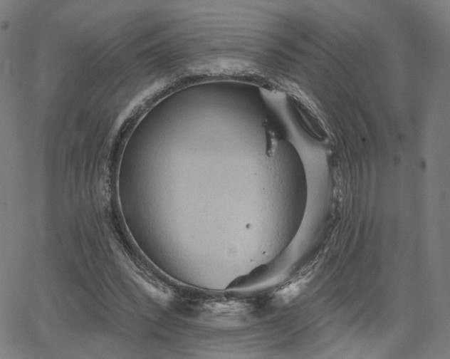 X0000066120392200603101241