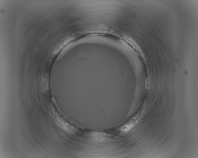 X0000066120393200603101241