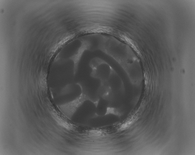 X0000066120394200603101241