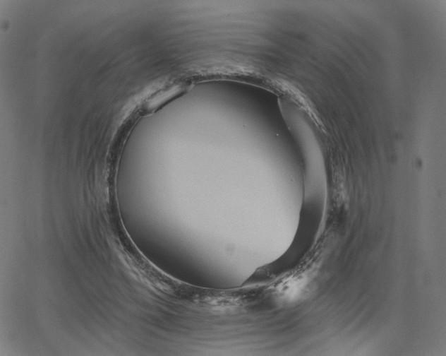 X0000066120395200603101241