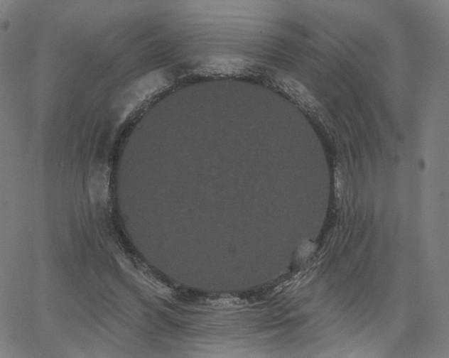 X0000066120396200603101241