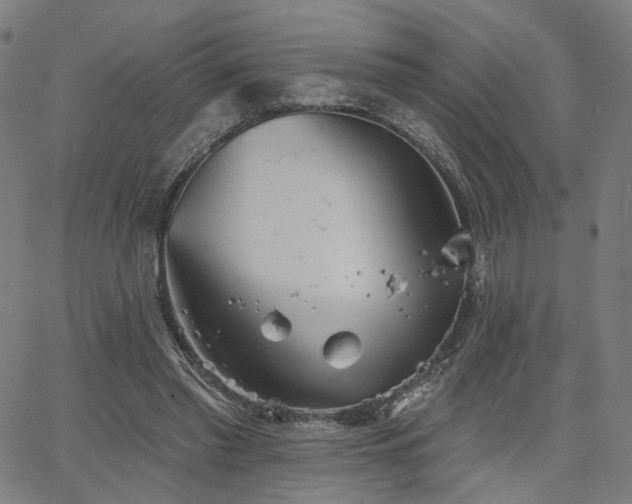 X0000066120397200603101241