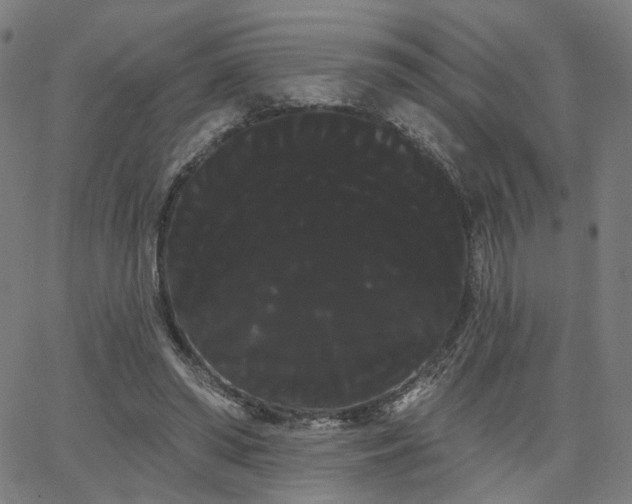 X0000066120398200603101241