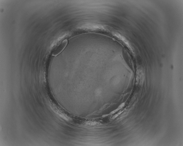 X0000066120399200603101240