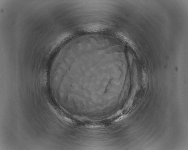 X0000066120400200603101240