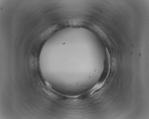 X0000066120401200603101240