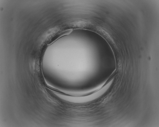 X0000066120403200603101240