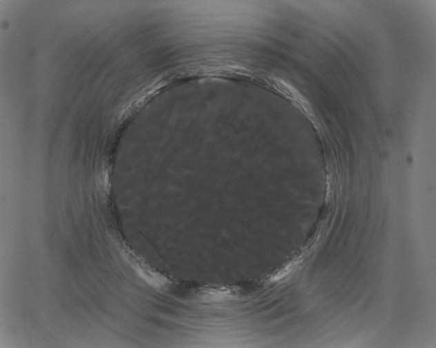 X0000066120405200603101240