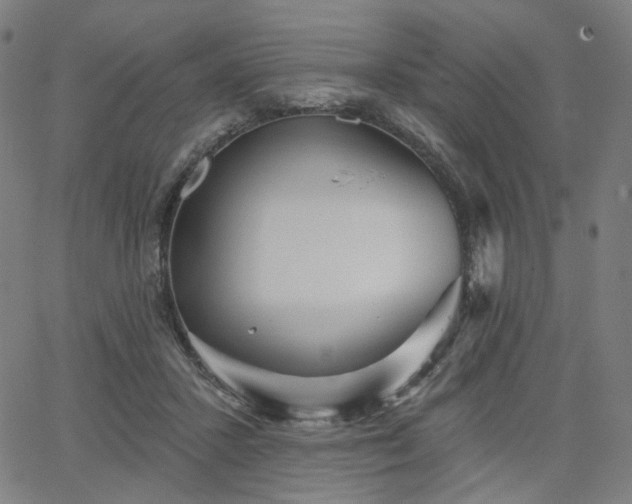 X0000066120407200603101240