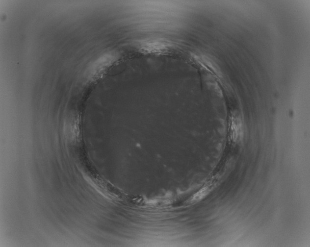 X0000066120408200603101240