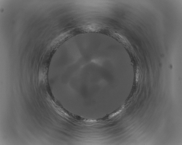 X0000066120409200603101240