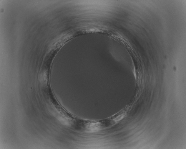 X0000066120410200603101240