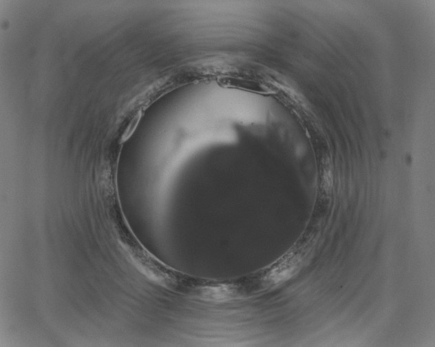 X0000066120411200603101240