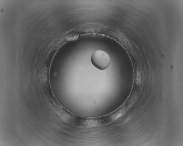 X0000066120413200603101240