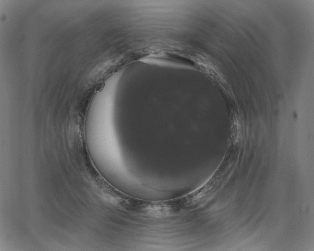 X0000066120415200603101240