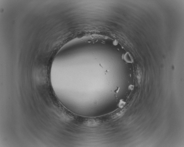 X0000066120416200603101240