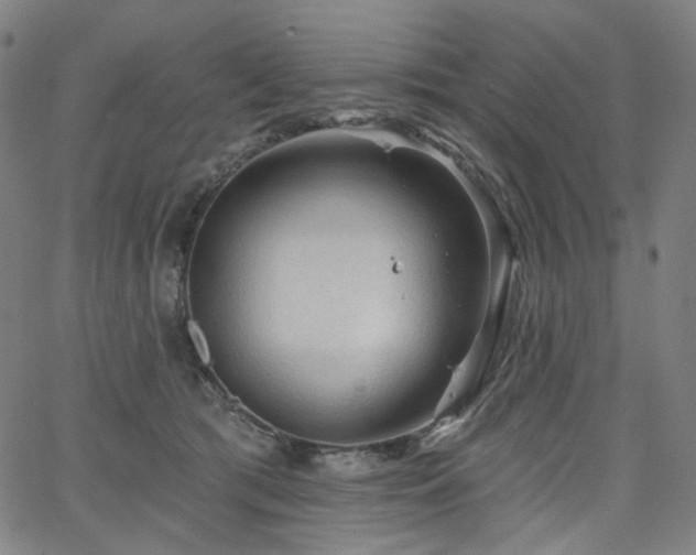 X0000066120417200603101240