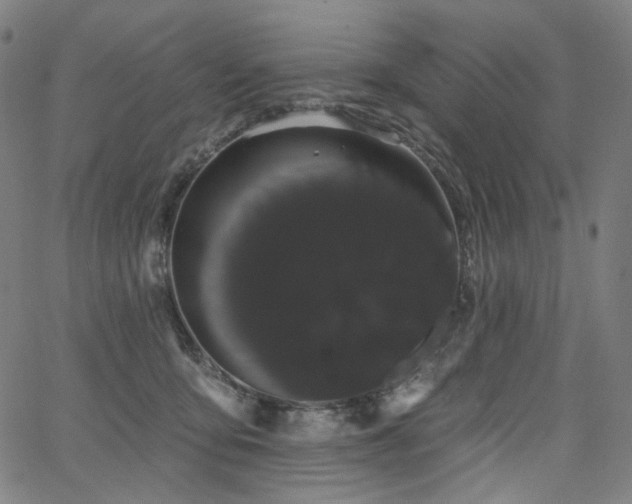 X0000066120419200603101240