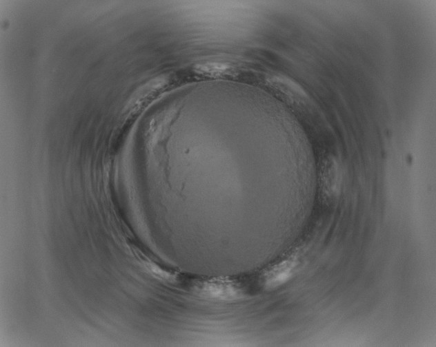 X0000066120420200603101240