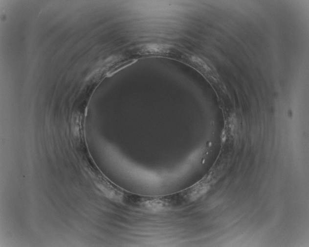 X0000066120423200603101240