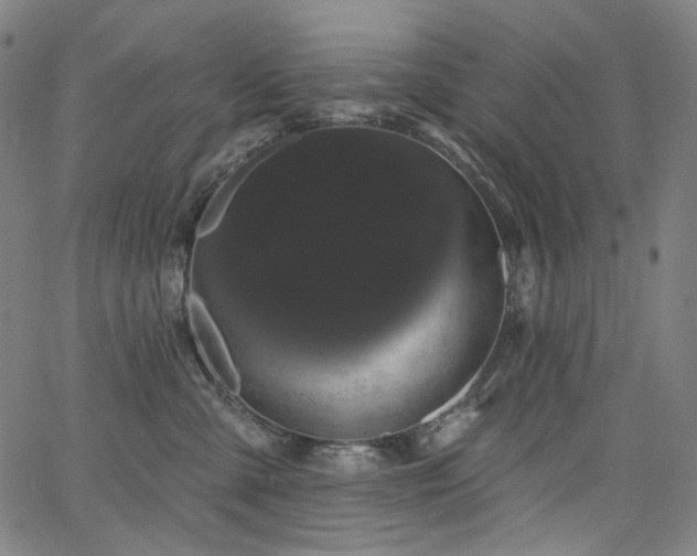 X0000066120427200603101240