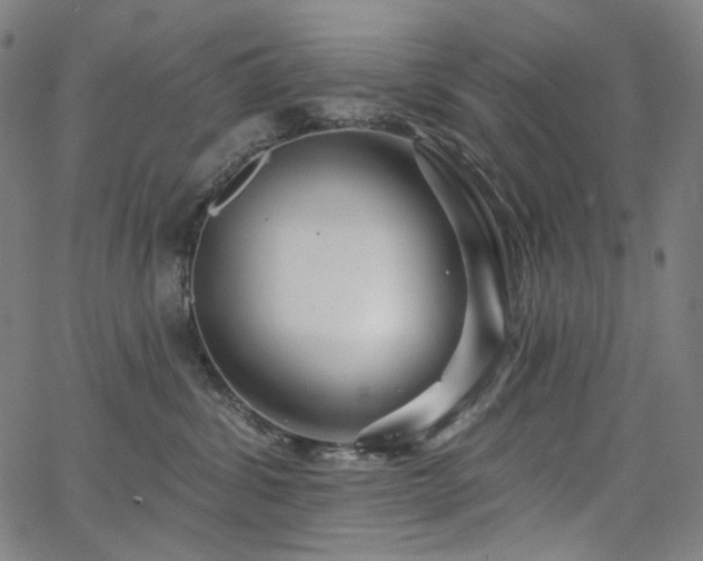 X0000066120428200603101240