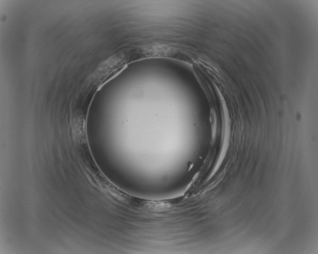 X0000066120429200603101240