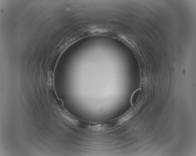 X0000066120430200603101240