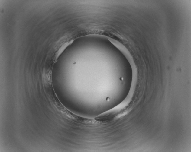 X0000066120432200603101240