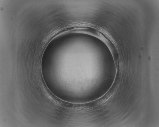 X0000066120433200603101239