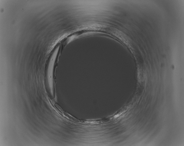 X0000066120434200603101239