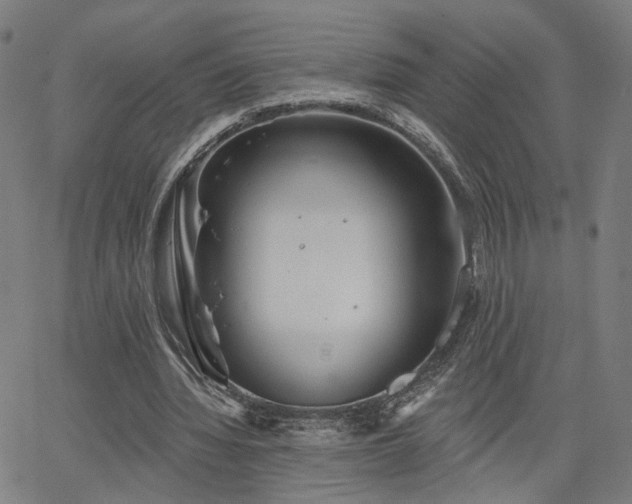 X0000066120436200603101239