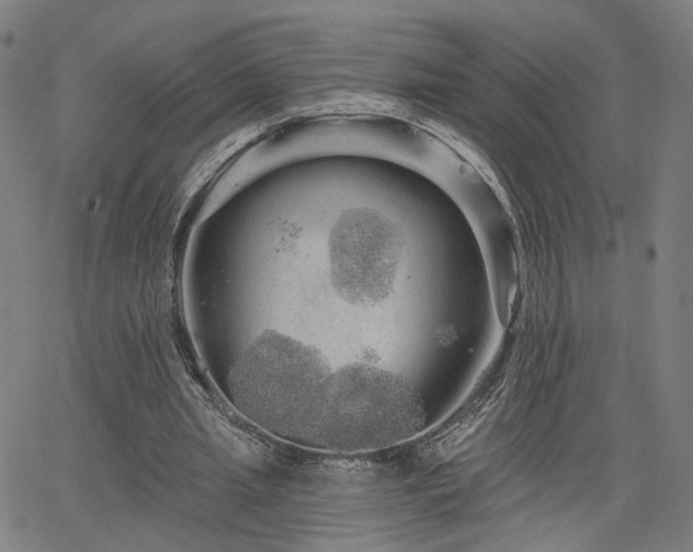 X0000066120437200603101239