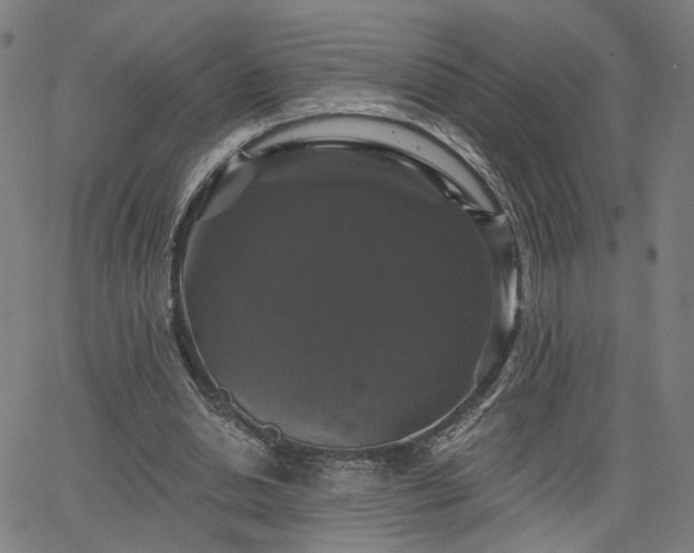 X0000066120438200603101239