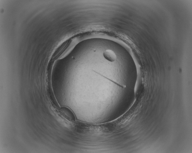 X0000066120439200603101239