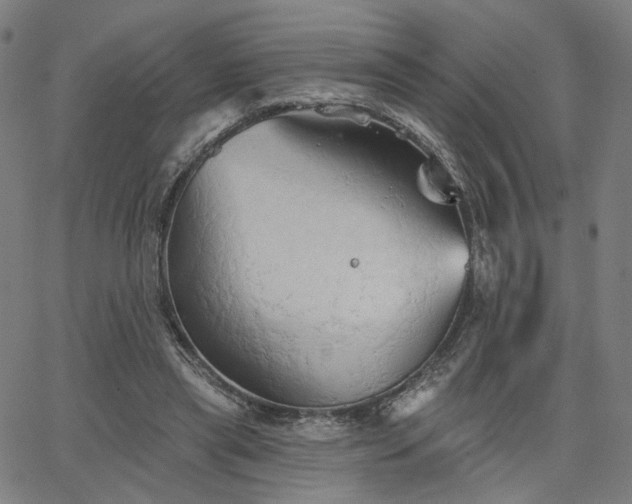 X0000066120445200603101239