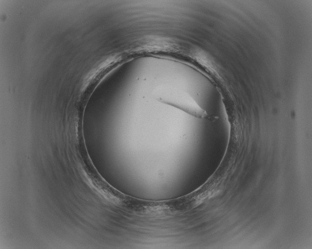 X0000066120446200603101239