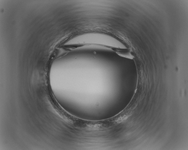 X0000066120450200603101239