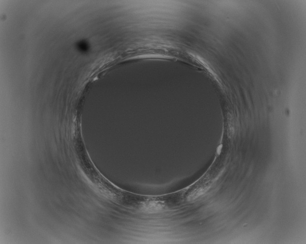 X0000066120451200603101239