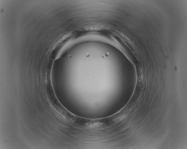 X0000066120452200603101239