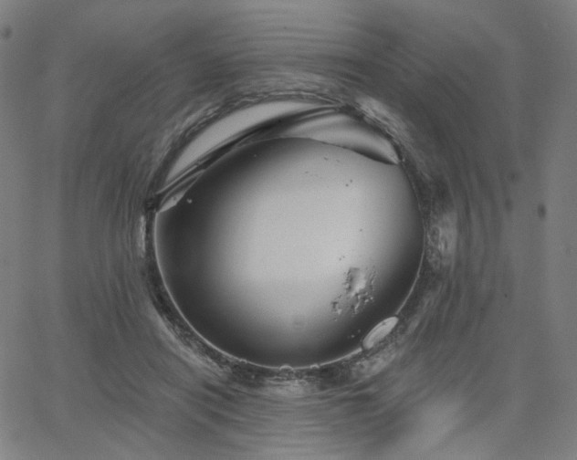 X0000066120454200603101240